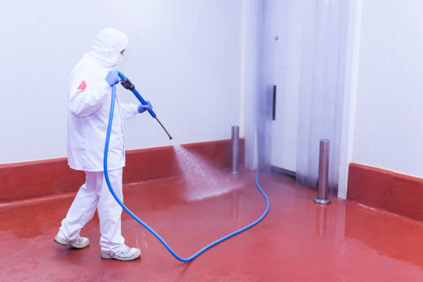 Best Dumpster Area Cleaning  in Yulee, FL