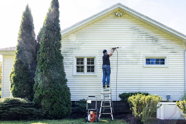 Best Solar Panel Cleaning  in Yulee, FL